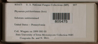 Image Associated With the Occurence